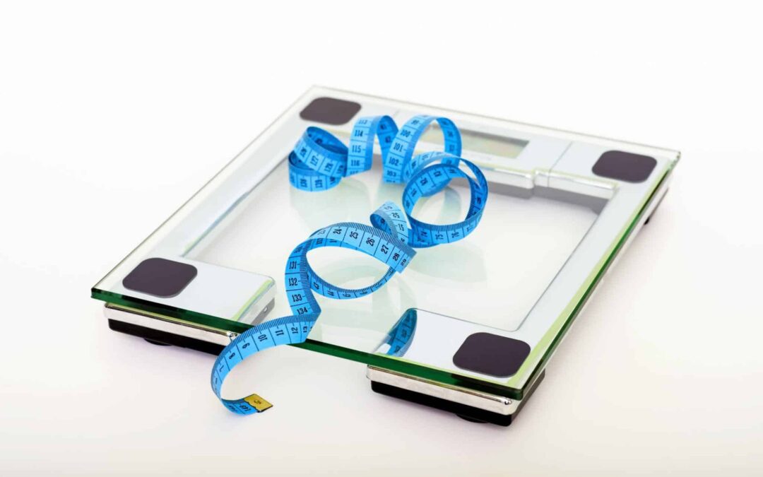Plant-Based Nutrition For Obesity Management