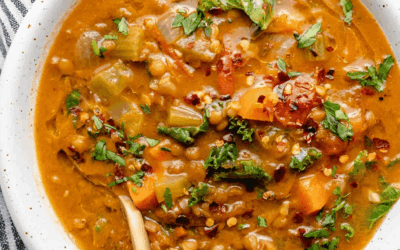 Indian Spiced Lentil Soup
